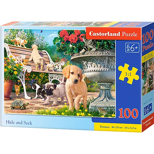 Castorland Puzzle Hide and Seek - 100 Teile
