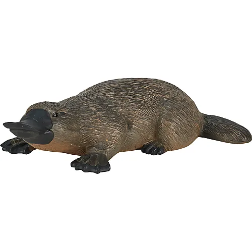 Mojo Wildlife Schnabeltier
