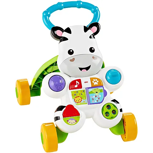Fisher-Price Fisher Price Everything Baby Playset, Mehrfarbig, DLD80