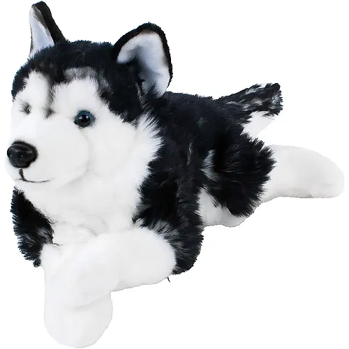 Teddys Rothenburg Husky - 38 cm