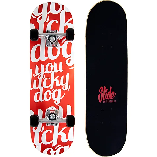 Slide Skateboard 28-Zoll You