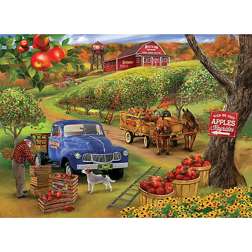 SunsOut Puzzle Bigelow Illustrations Pick Ur Own Apples - 500 Teile