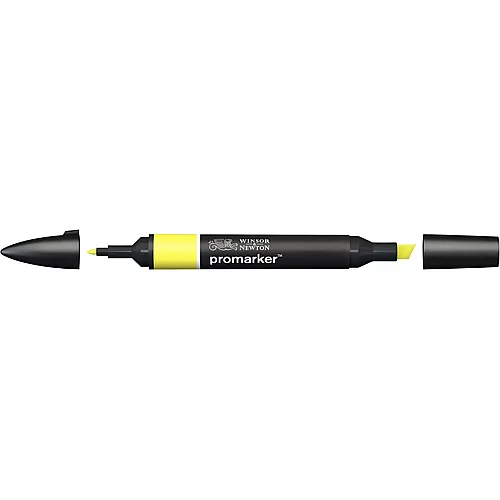 Winsor & Newton Promarker Stift mit 2 Spitzen Zitrone