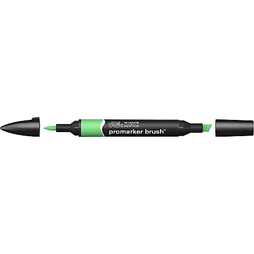 Winsor & Newton Promarker Brush mit 2 Spitzen Gras