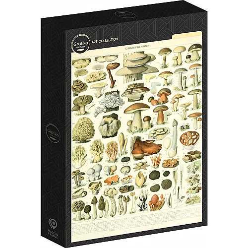Grafika Puzzle Art Collection Abbildung aus Larousse: Pilze, 19. Jahrhundert (1000Teile)
