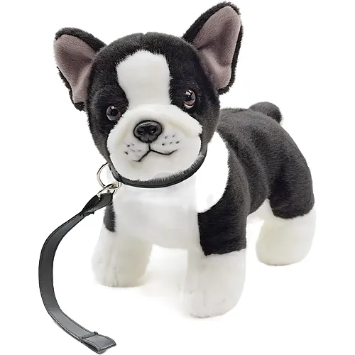 Unitoys Franz�sische Bulldoge mit Leine - 23 cm