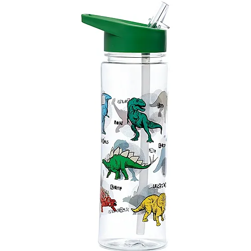 Dino Wasserflasche 550ml