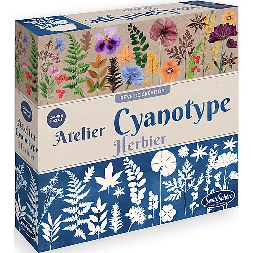 Atelier Cyanotype Herbier FR