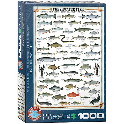 Eurographics Puzzle S�sswasserfische - 1000 Teile