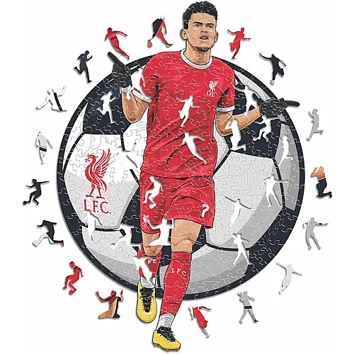 Iconic Puzzle Liverpool FC - Luis Diaz (150Teile)