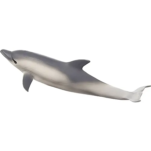 Mojo Sealife Gemeiner Delphin
