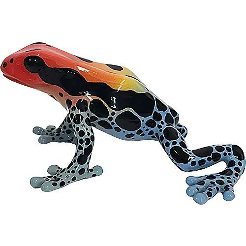 Pfeilgiftfrosch Amazonica 4,5cm