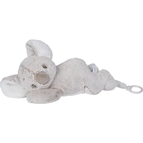 Nola der Koala Spieluhr 26cm