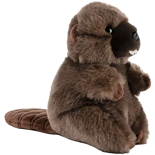 Biber 16cm