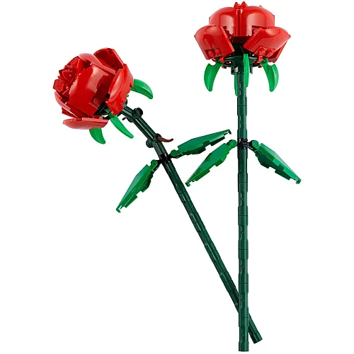 Rosen 40460