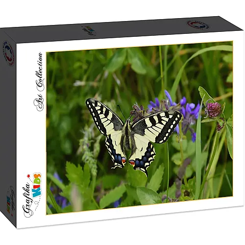 Grafika Puzzle Art Collection Grafika Kids Butterfly - 12 Teile