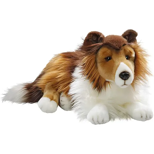 Carl Dick Collie liegend - 44 cm