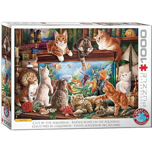 Eurographics Puzzle Katzen rund um das Aquarium - 1000 Teile