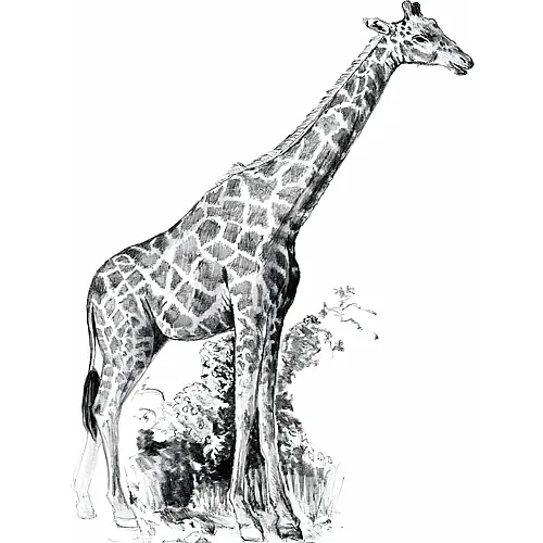 Royal & Langnickel R&l Sketching Mni Girafe 14x20cm