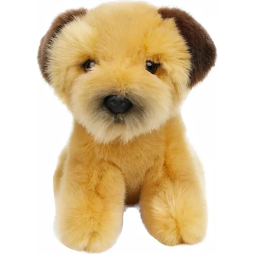 Border Terrier - 14 cm
