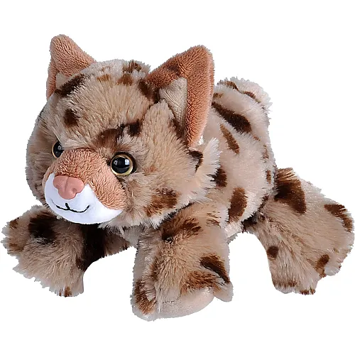 Rotluchs - 18 cm