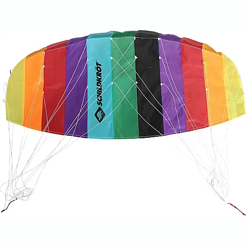 Schildkrt Dual Line Sport Kite 1.3