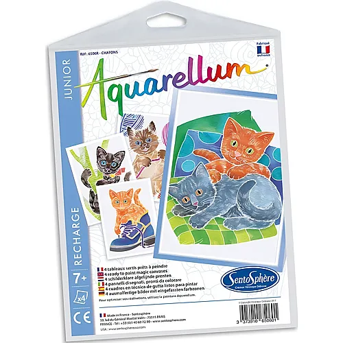 Junior Katzen