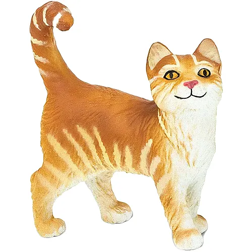 Getigerte Katze