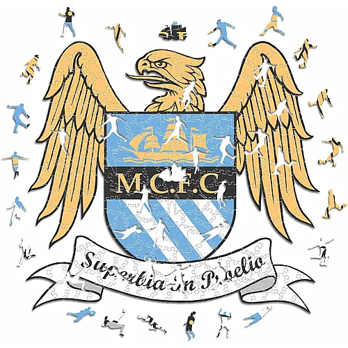 Iconic Puzzle Manchester City FC Retro Logo (270Teile)