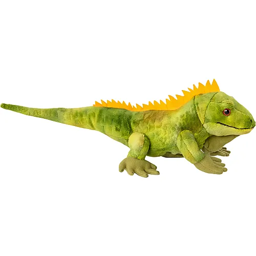 Leguan - 36 cm