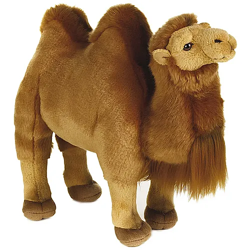 Lelly Plsch National Geographic Kamel (26cm)
