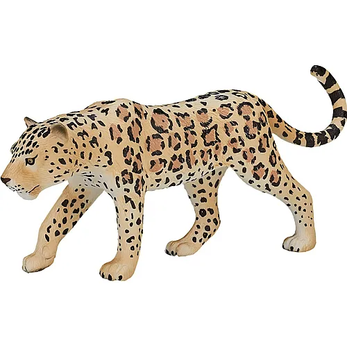 Mojo Wildlife Leopard