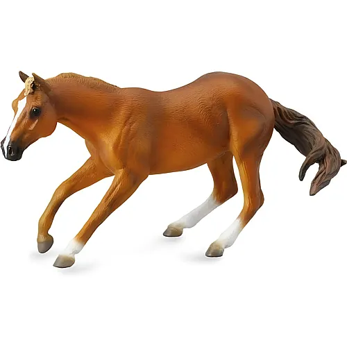 CollectA Horse Country Quarter Horse Hengst Rotbraun