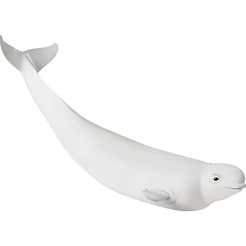 Safari Ltd. Sea Life Weisswal