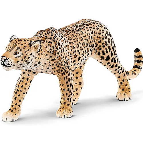 Schleich Wild Life Safari Leopard