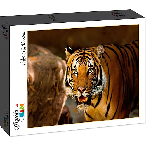 Grafika Puzzle Art Collection Grafika Kids Tiger - 12 Teile