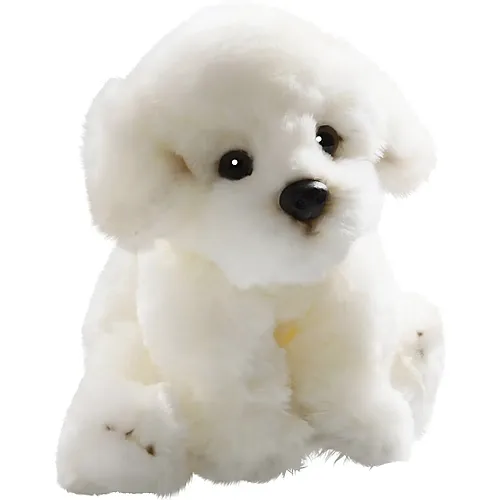 Carl Dick Bichon Hund sitzend - 24 cm