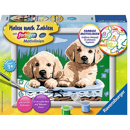 Ravensburger Malen nach Zahlen Farbige Motivlinien Ssse Hundewelpen