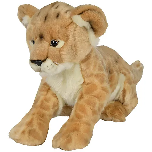 Bébé lion - 35 cm