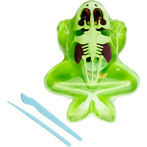 Simba Scout Dissect-It Frosch