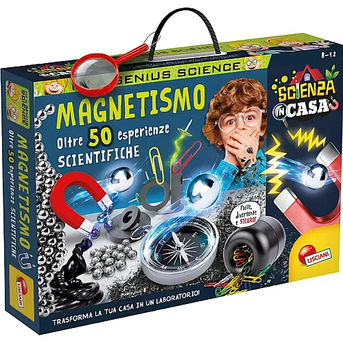 Magnetismo IT