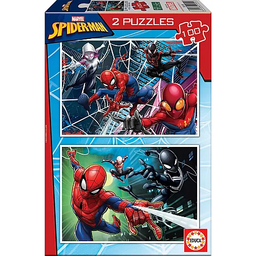 2in1 Spiderman - 100 Teile