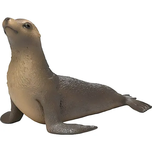 Seel�we