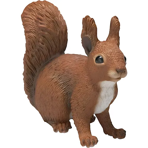 Eichh�rnchen