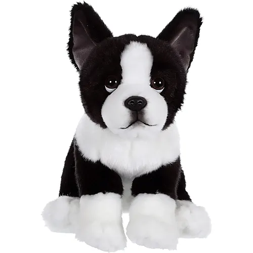 Gipsy Franz�sische Bulldogge - 25 cm