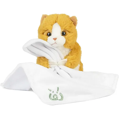 Baby Ingwer Ktzchen mit Schmusedecke