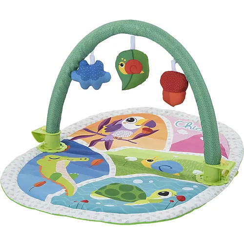 Chicco 3in1 Activity Gym