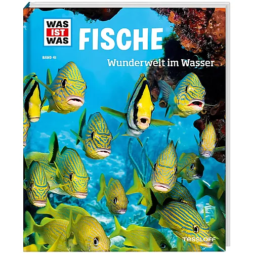 Fische Nr.41