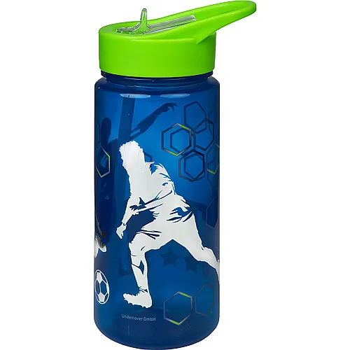 Team Player Trinkflasche 500ml