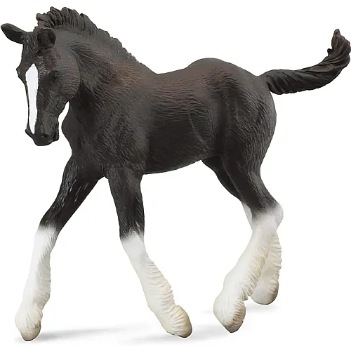 Shire Horse Fohlen Schwarz